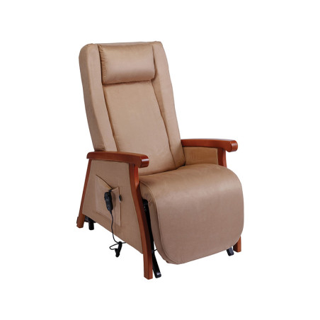 FAUTEUIL RELEVEUR STYLEA II 2 MOTEURS