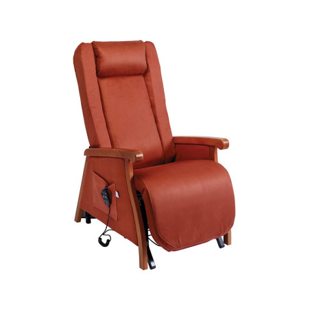 FAUTEUIL RELEVEUR STYLEA II 2 MOTEURS