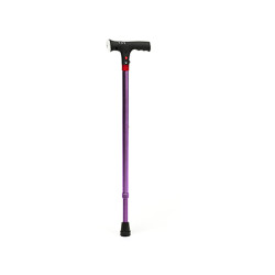 CANNE ÉLECTRA VIOLETTE
