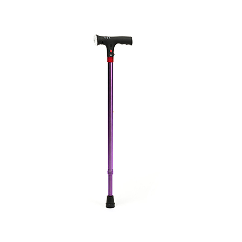 CANNE ÉLECTRA VIOLETTE