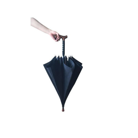 CANNE PARAPLUIE
