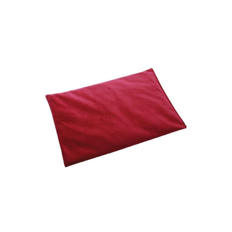 COUSSIN NOYAUX DE CERISE