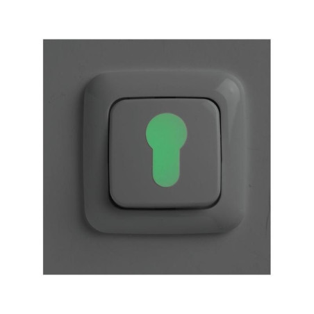 LOT DE 3 AUTOCOLLANTS LUMINESCENTS