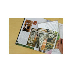 PAGE LOUPE RIGIDE